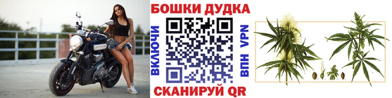 где продают   Знаменск  Бошки Шишки сатива 